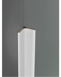 MAESTRO KNIKLIJST 2X50X2700MM SILVER CHESTNUT 2ST