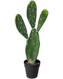 ATMOSPHERA CACTUS H: 60CM