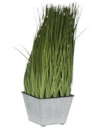 J-LINE HERBES EN POT CARRE VERT L