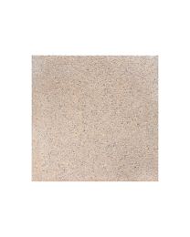 COBO GARDEN DALLE DE TERRASSE GRISCLAIR 40X40X3.7 CM