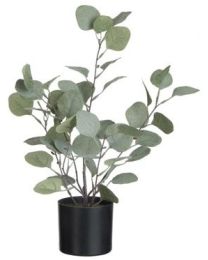 J-LINE EUCALYPTUS IN POT PLAST GROEN S (27X22X43CM)