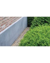 PLINTHE DE MUR BELGE 100X40X3CM