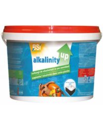 BSI ALKALINITY UP 5KG