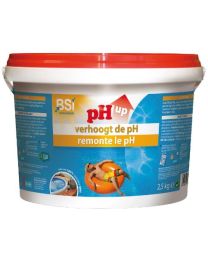 BSI PH UP POEDER 2.5KG