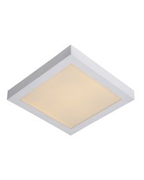 LUCIDE BRICE-LED PLAFONDLAMP BADKAMER DIMBAAR 30W WIT